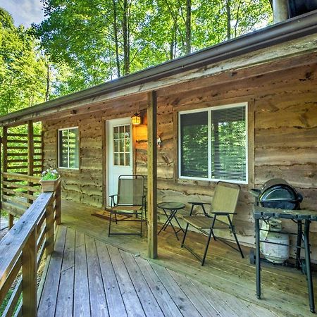 Cozy The Woodshop Cabin With Deck And Forest Views! Robbinsville Εξωτερικό φωτογραφία